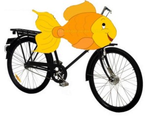 pesce bici